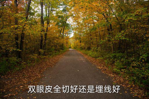 漯河哪里埋線雙眼皮做的好,眼睛割雙眼皮好還是埋線好