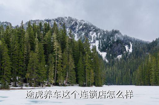 途虎養車這個連鎖店怎么樣