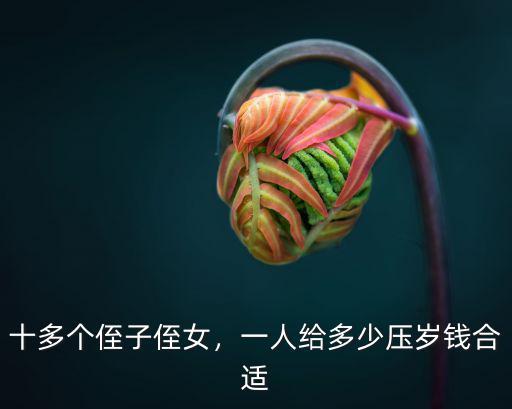 十多個侄子侄女，一人給多少壓歲錢合適