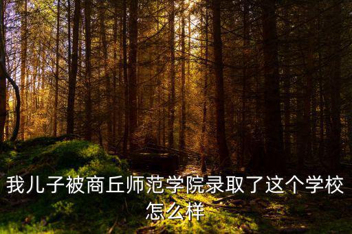 我兒子被商丘師范學院錄取了這個學校怎么樣