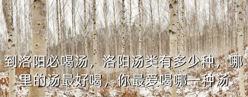 東關洛陽湯館丸子湯多少錢,洛陽湯類有多少種