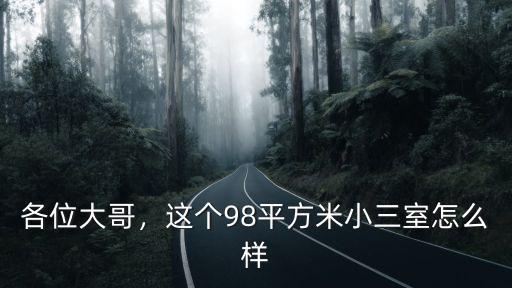 安陽小三房怎么樣,100平三室一廳怎么樣