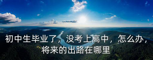 初中生畢業了，沒考上高中，怎么辦，將來的出路在哪里