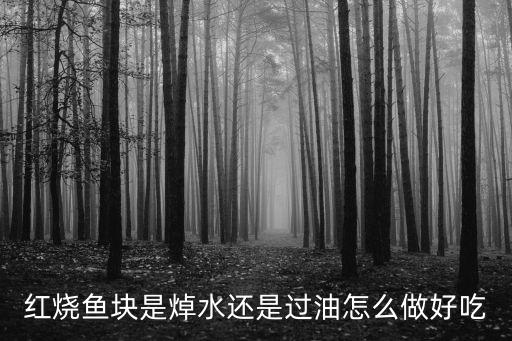 信陽紅燒魚塊怎么做,紅燒魚塊怎么做才好吃