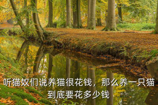 三門峽養貓多少錢,養貓一年最低花費多少錢