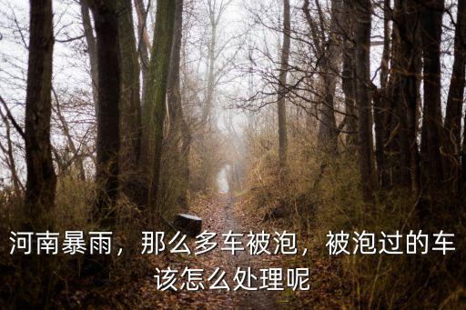 河南暴雨，那么多車被泡，被泡過的車該怎么處理呢