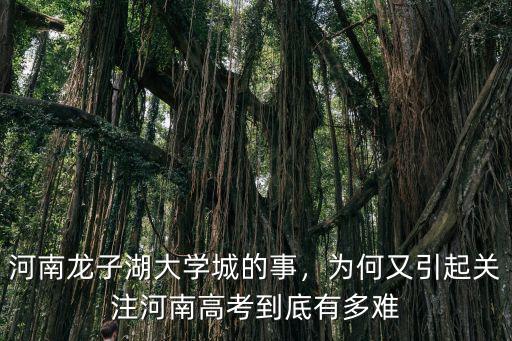 河南龍子湖大學(xué)城的事，為何又引起關(guān)注河南高考到底有多難