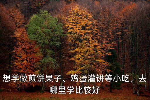 河南學(xué)雞蛋灌餅?zāi)睦飳W(xué),去哪里學(xué)比較好