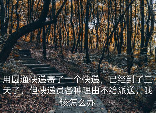 用圓通快遞寄了一個快遞，已經到了三天了，但快遞員各種理由不給派送，我該怎么辦