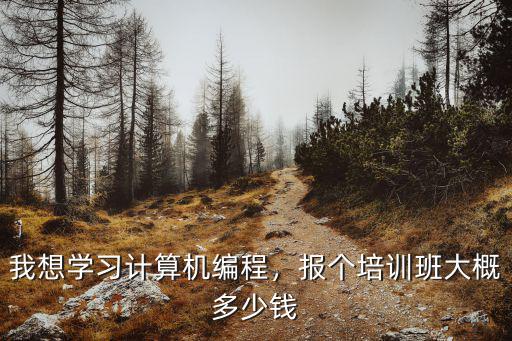我想學習計算機編程，報個培訓班大概多少錢