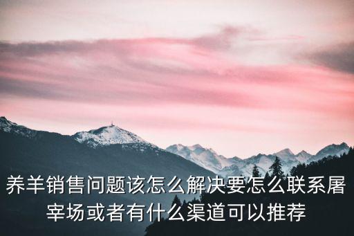 河南羊肉屠宰場怎么聯系,養羊銷售問題該怎么解決