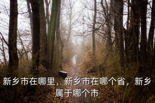 新鄉(xiāng)星云面粉開封市在哪里賣,新鄉(xiāng)市在哪個省