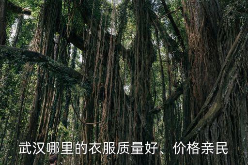 武漢哪里的衣服質量好、價格親民