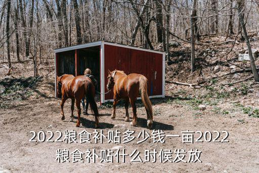 開封祥符區糧食補貼一畝多少錢,一畝可領多少錢