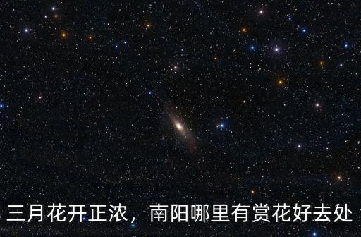 三月花開正濃，南陽哪里有賞花好去處