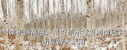 河南特大暴雨小學生怎么說的,河南特大暴雨說明什么