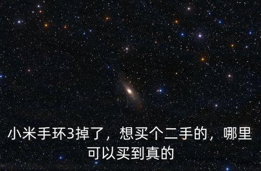 小米手環3掉了，想買個二手的，哪里可以買到真的