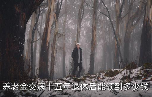 鶴壁社保繳納十五年退休能拿多少,退休金能拿多少