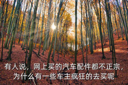 河南省南召縣汽車配件哪里買最正宗,網(wǎng)上買的汽車配件都不正宗