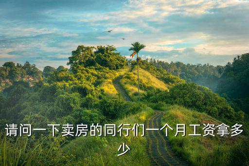 請問一下賣房的同行們一個月工資拿多少