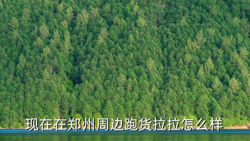 貨拉拉鄭州怎么樣,改行跑貨拉拉了