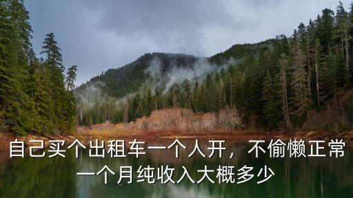 自己買個出租車一個人開，不偷懶正常一個月純收入大概多少