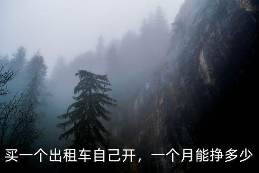 買一個出租車自己開，一個月能掙多少