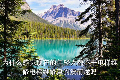 洛陽電梯維保怎么樣,修電梯這個工作怎么樣