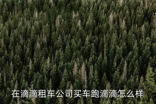 在滴滴租車公司買車跑滴滴怎么樣