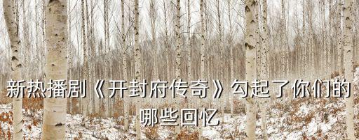 開封府傳奇73怎么刪了,新劇《開封府傳奇》怎么樣