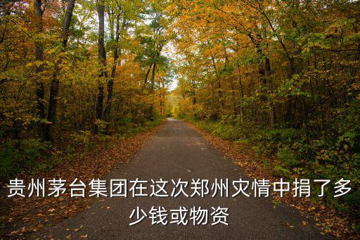 王健林這次在河南捐了多少,這次河南水災(zāi)都捐了多少