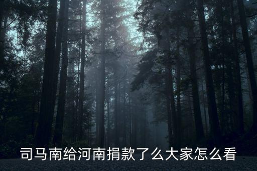 宋軼捐款多少河南,司馬南給河南捐款了么