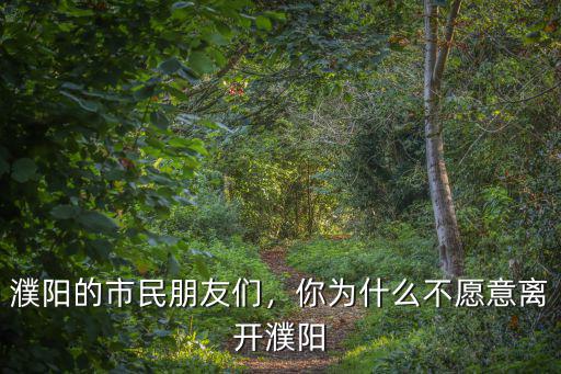濮陽西邊發展怎么樣,河南濮陽怎么樣