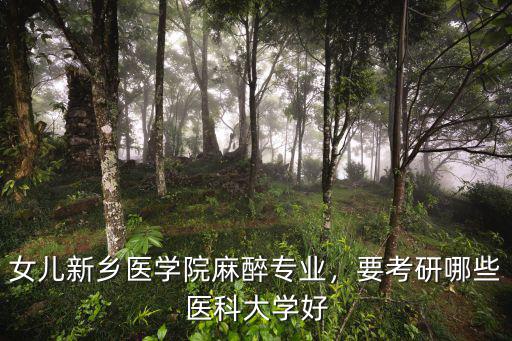 新鄉醫學院麻醉科怎么樣,新鄉醫學院實力怎么樣