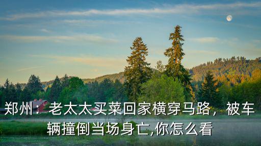 鄭州哪里老太太多,鄭州98歲老太太街頭摔倒