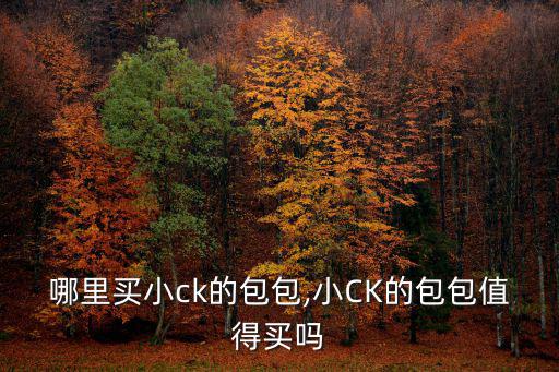 商丘哪里買小ck的包包,小CK的包包值得買嗎