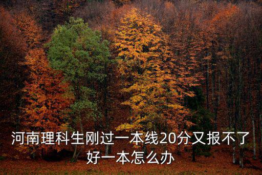 河南理科生剛過一本線20分又報不了好一本怎么辦