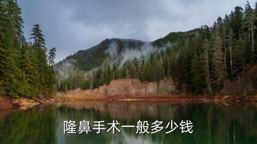 鄭州整容隆鼻要多少錢,隆鼻整形多少錢