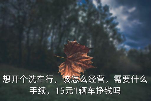 想開個洗車行，該怎么經營，需要什么手續，15元1輛車掙錢嗎