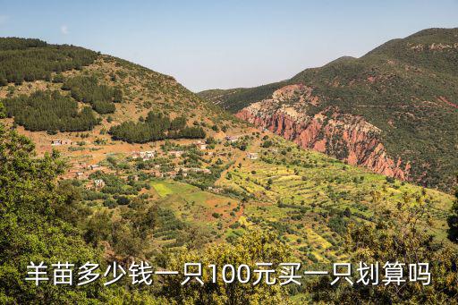 河南波爾山羊苗多少錢一只,羊苗多少錢一只
