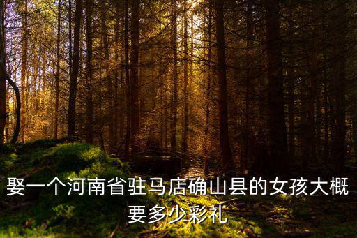 娶一個河南省駐馬店確山縣的女孩大概要多少彩禮
