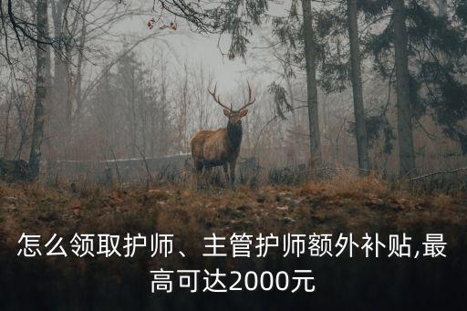 安陽市主管護師怎么領補貼,怎么領取護師