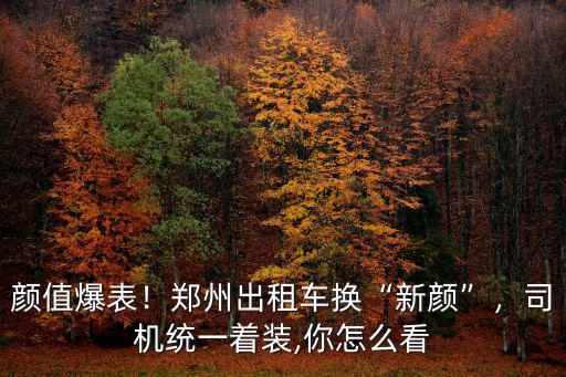 怎么查鄭州出租車,鄭州出租車換新顏
