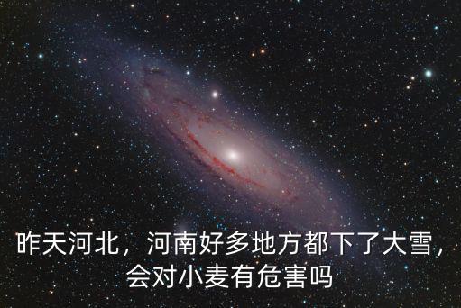 昨天河北，河南好多地方都下了大雪，會對小麥有危害嗎