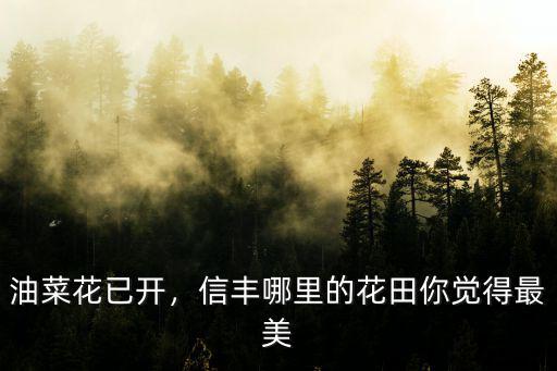 油菜花已開，信豐哪里的花田你覺得最美