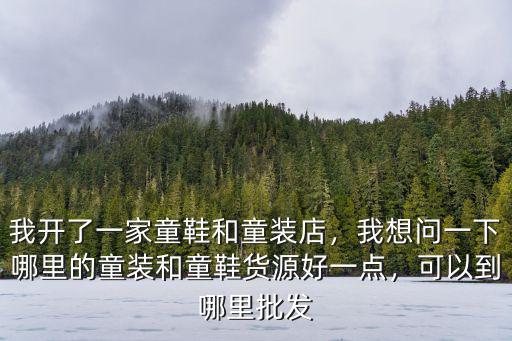 我開了一家童鞋和童裝店，我想問一下哪里的童裝和童鞋貨源好一點，可以到哪里批發