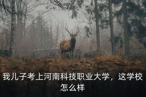 河南宏昌科技怎么樣,我兒子考上河南科技職業大學