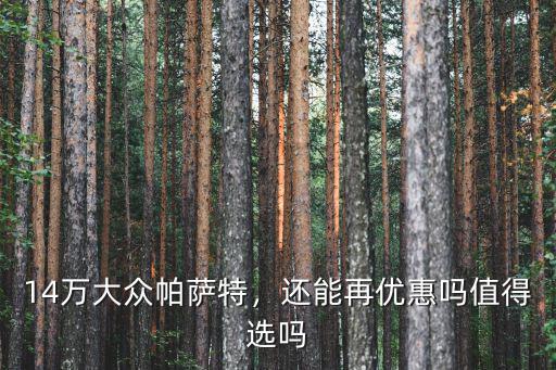 洛陽大眾帕薩特優(yōu)惠多少,14萬大眾帕薩特