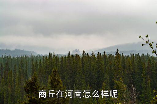 生在河南怎么樣,商丘在河南怎么樣呢