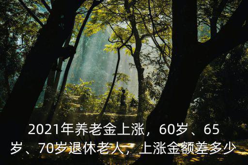 2021年養老金上漲，60歲、65歲、70歲退休老人，上漲金額差多少